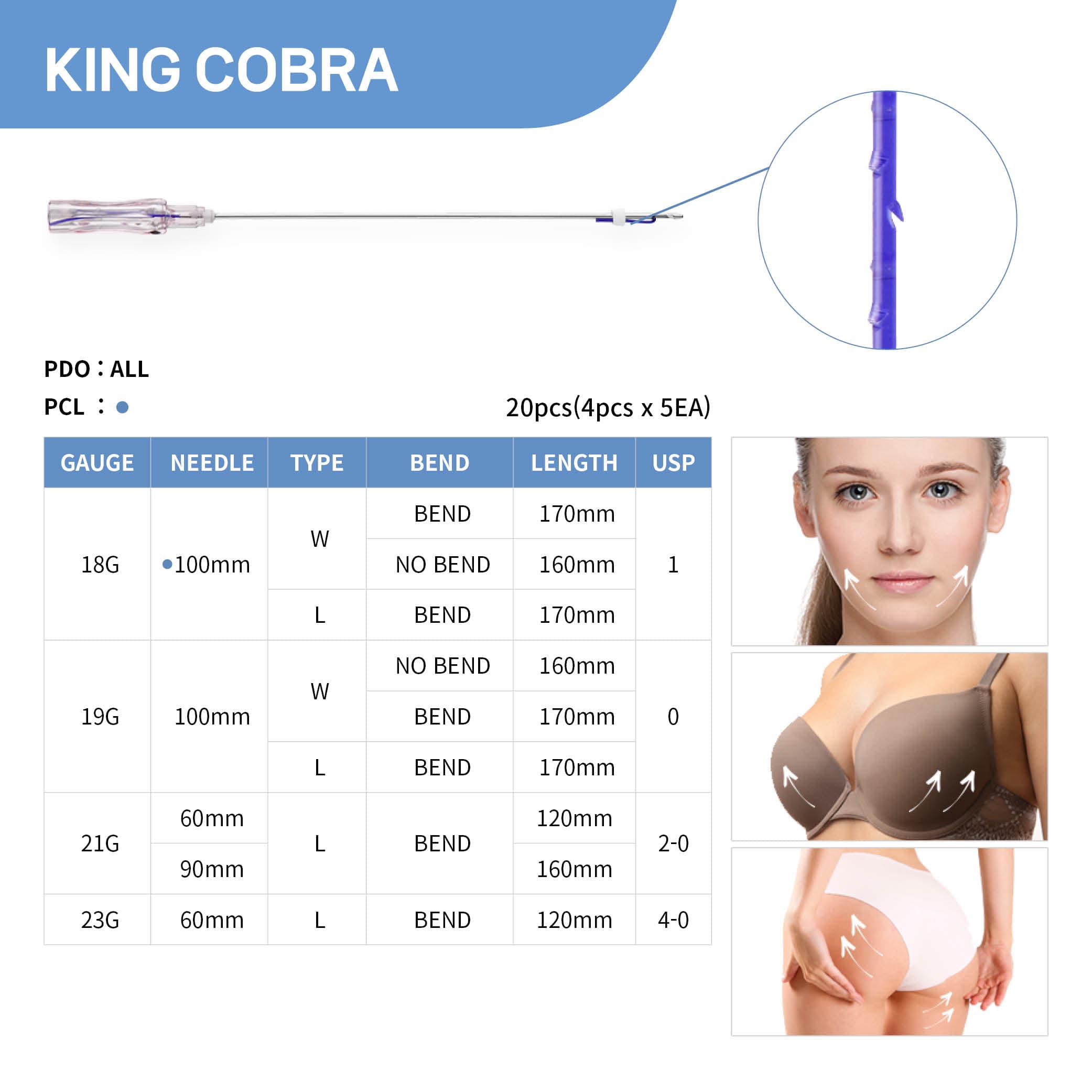 KINGCOBRA（キングコブラ）